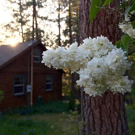 Ahwahnee-Be Vintage Cabin - Walk To Town! 爱德怀 外观 照片