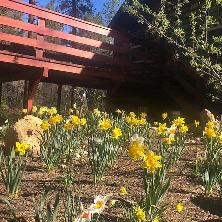 Ahwahnee-Be Vintage Cabin - Walk To Town! 爱德怀 外观 照片