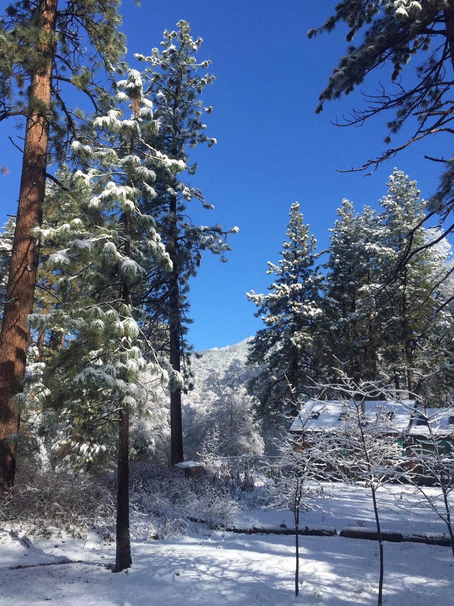 Ahwahnee-Be Vintage Cabin - Walk To Town! 爱德怀 外观 照片