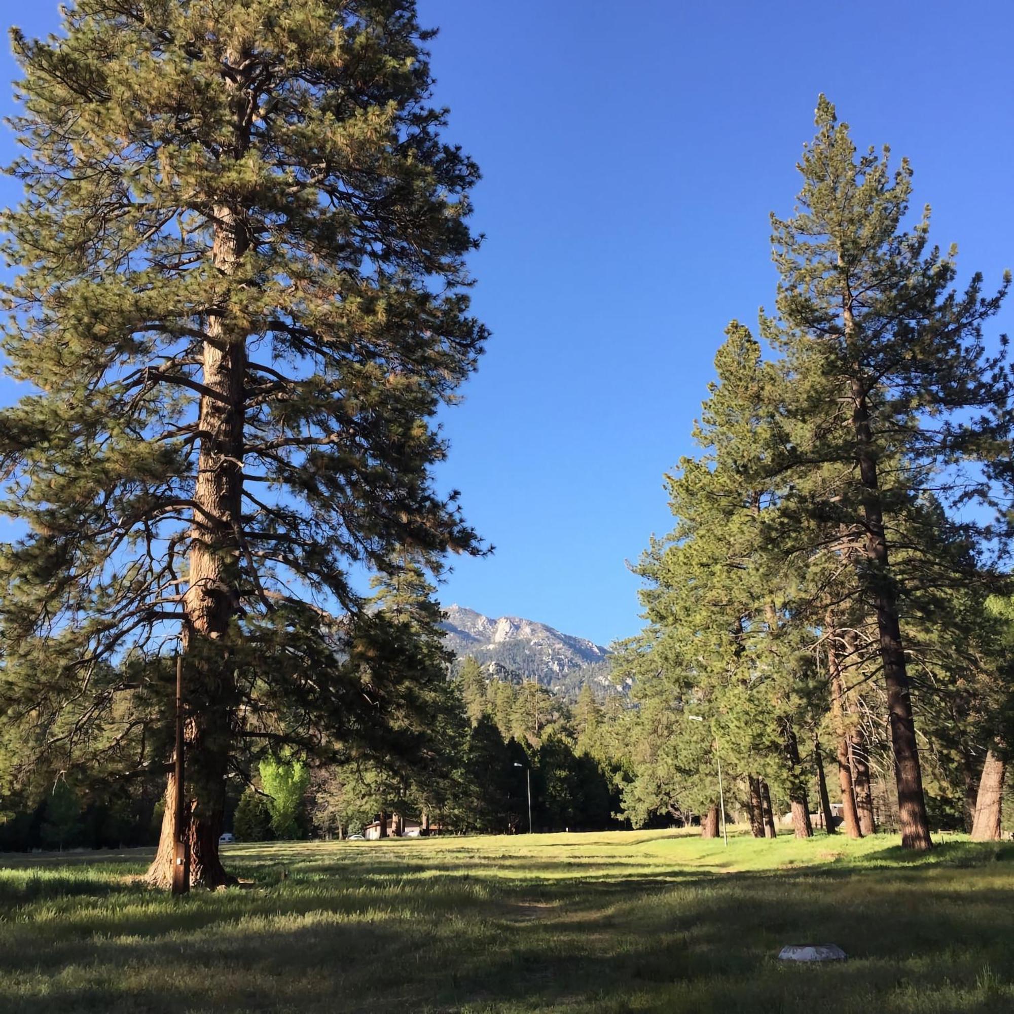 Ahwahnee-Be Vintage Cabin - Walk To Town! 爱德怀 外观 照片